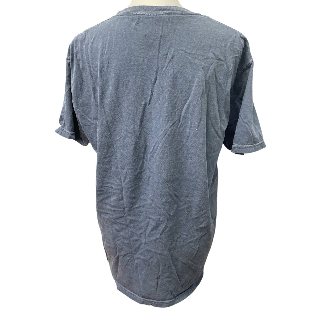 Comfort Colors Womens Large San Francisco 100% Cotton Short Sleeve Crew Neck Tee