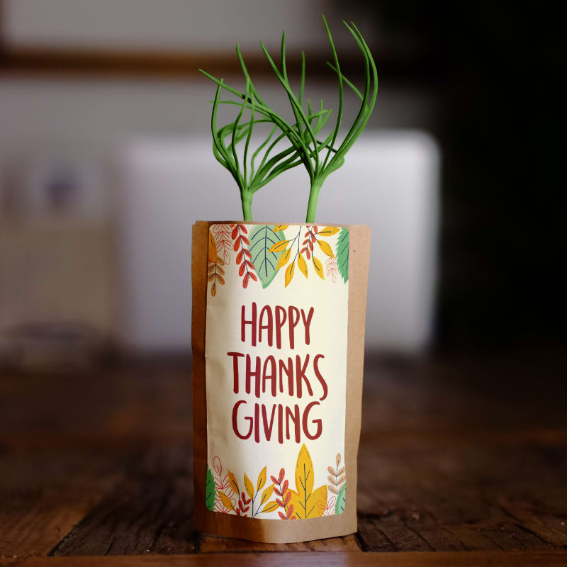 Happy Thanksgiving Greeting-0