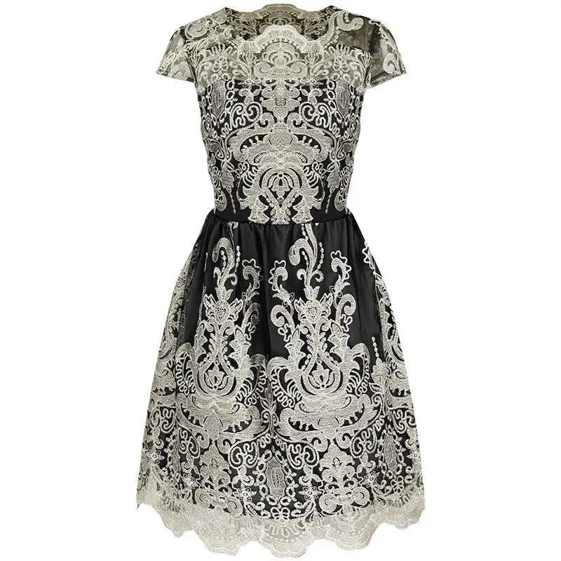 Elegant Lace Retro Mesh Dress