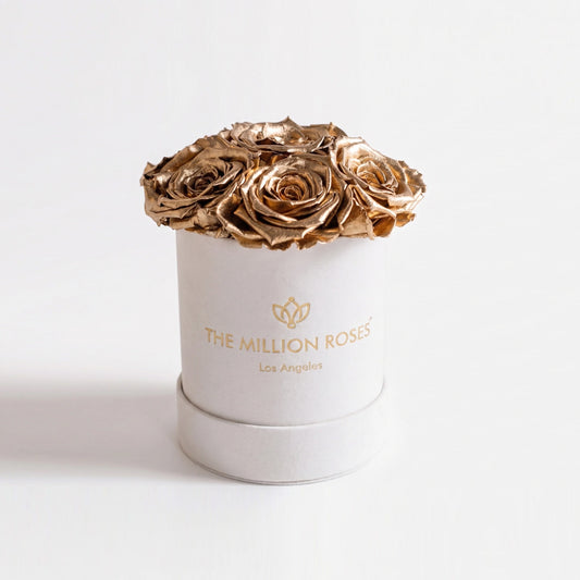 Essence Beige Suede Box | Gold Roses