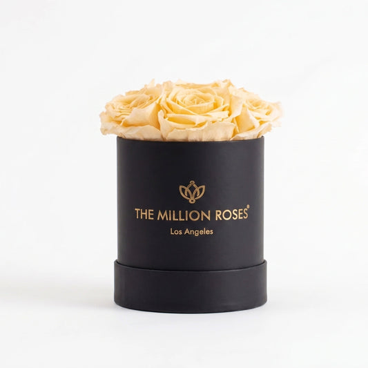 Essence Black Box | Ivory Roses
