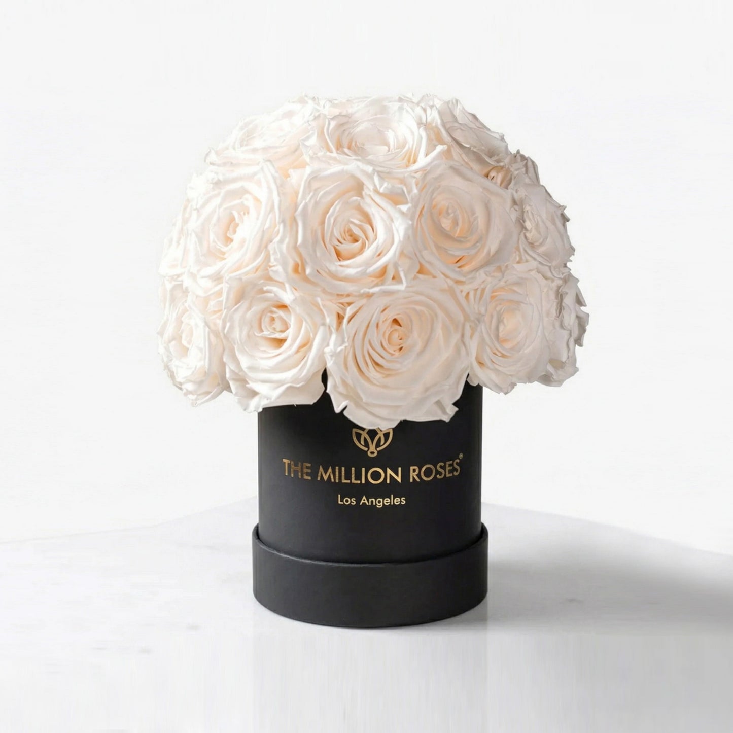 Essence Black Superdome Box | White Roses
