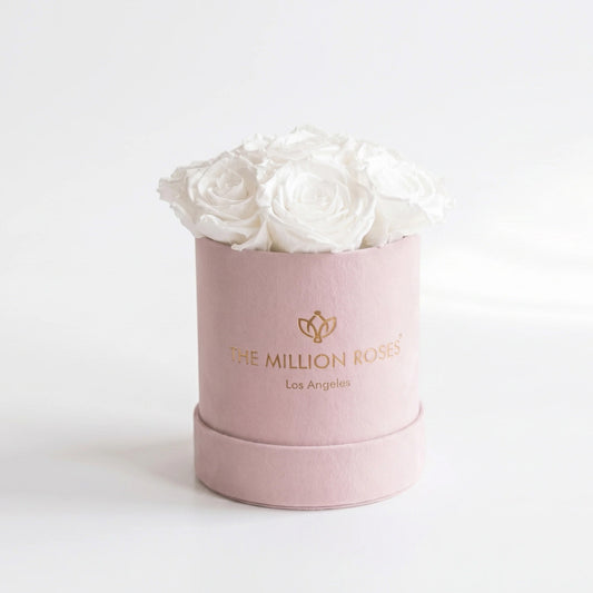 Essence Light Pink Suede Box | White Roses