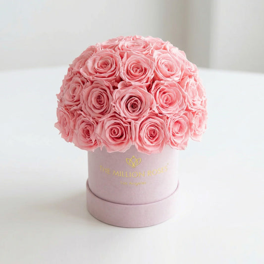 Essence Light Pink Suede Superdome Box | Light Pink Roses