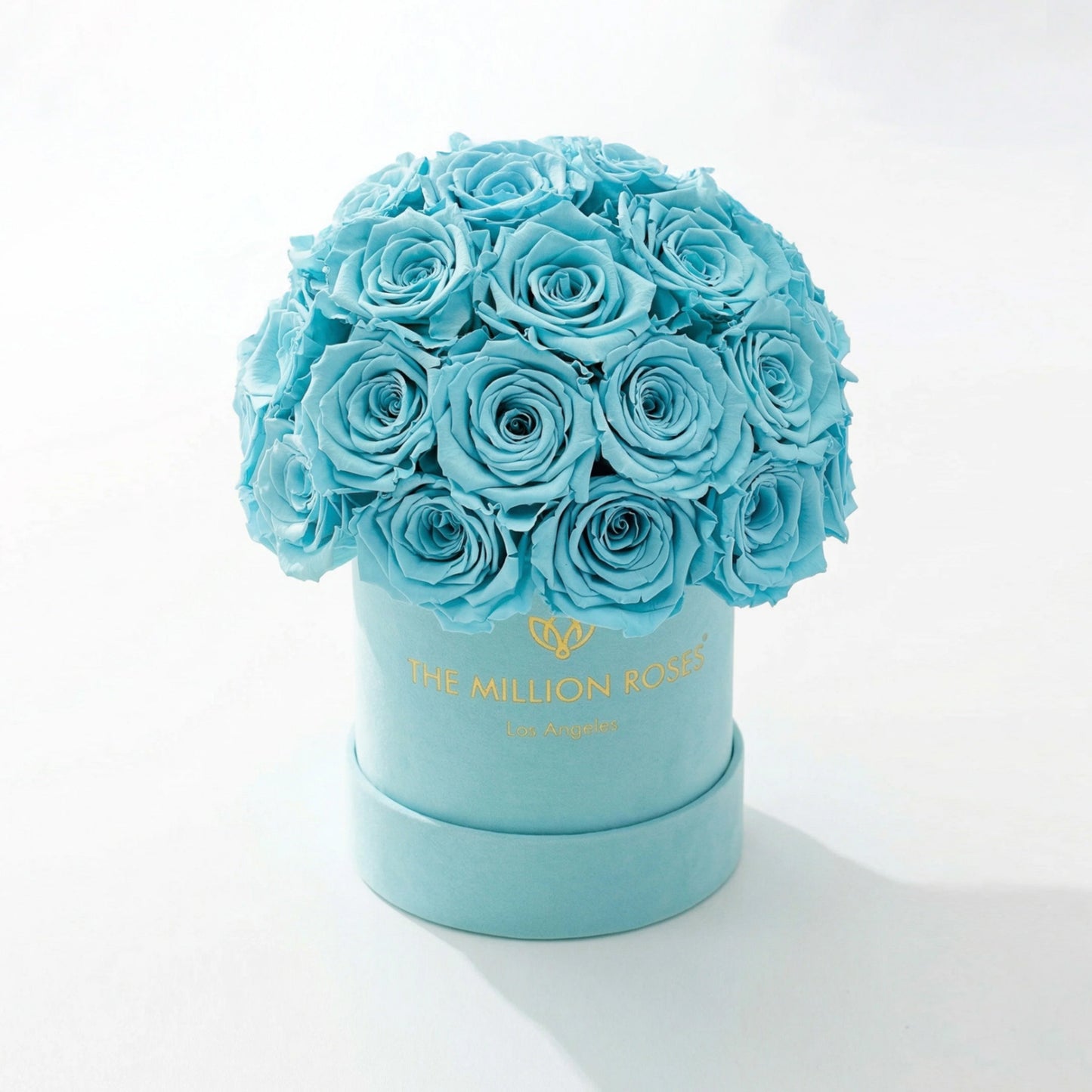 Blue roses in a round box with 'The Million Roses' logo on a white . Essence Mint Green Suede Superdome Box | Turquoise Rosesbackground