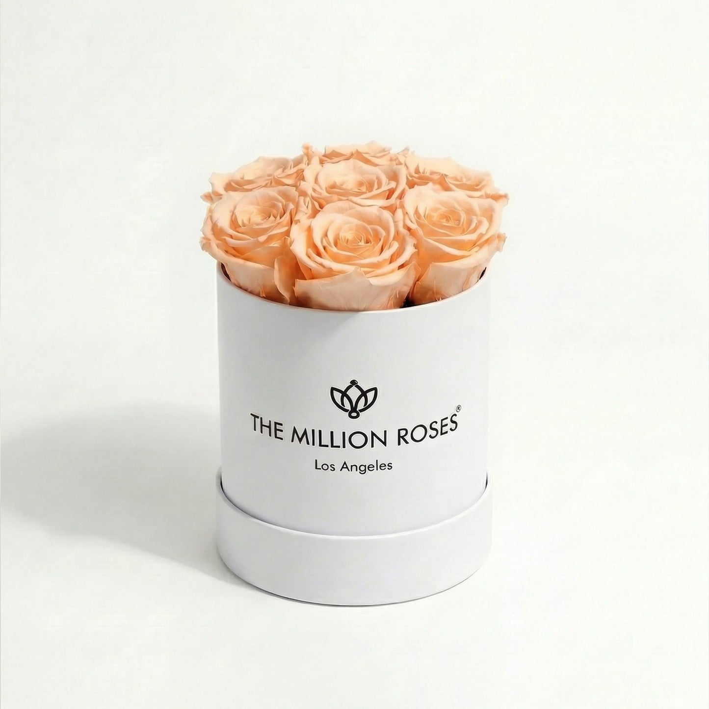 Essence White Box | Peach Roses