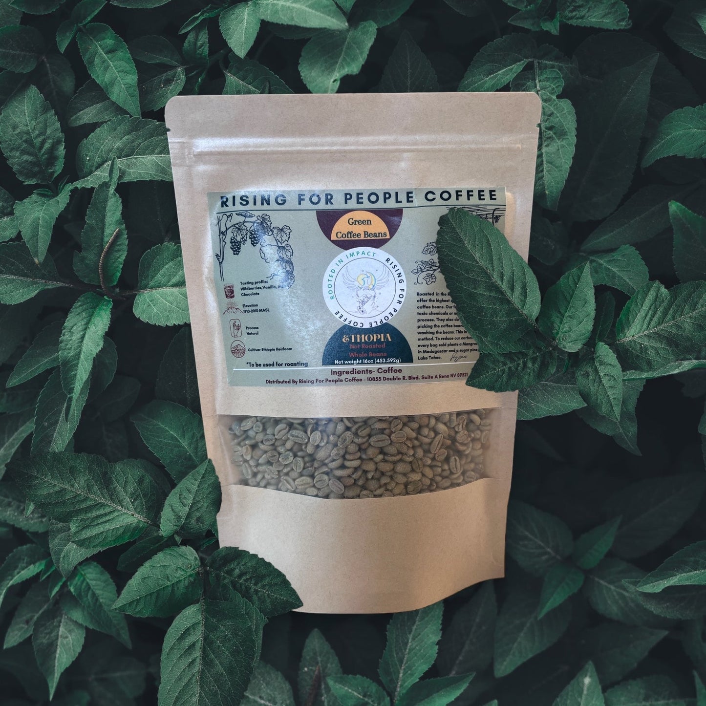 Ethiopia Natural- Green Coffee Beans-0