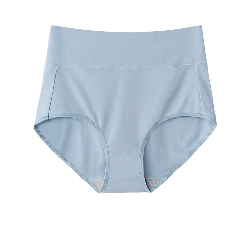 High Waist Briefs Plus Size Fat