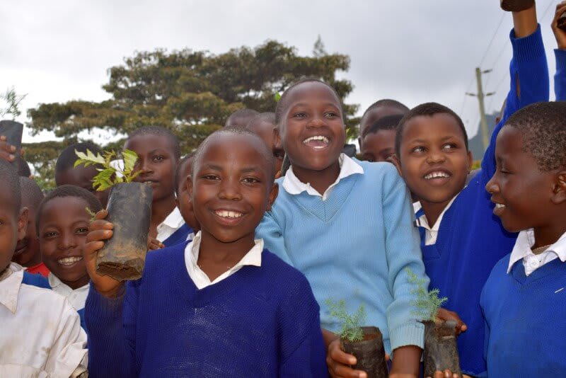 Forest Ambassador Tree Cup, We Plant 200 More Trees-3