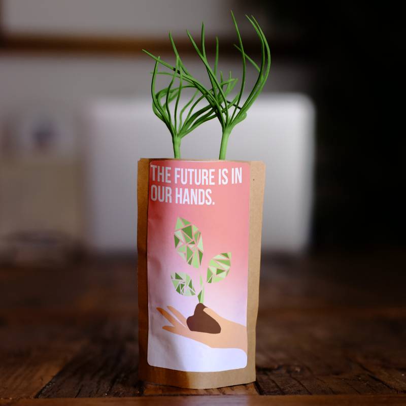 The Future Is In Our Hands Tree - Plants 50 Trees-0