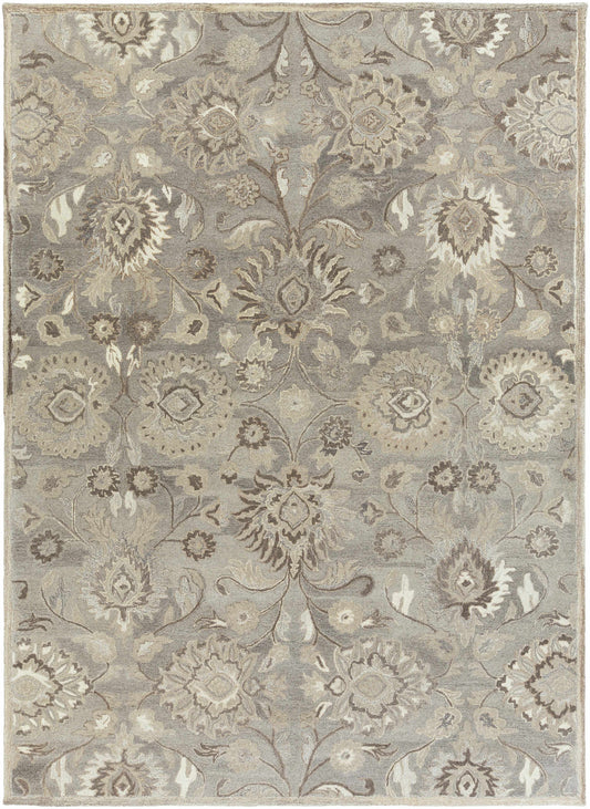 Conesus 1195 Hand Tufted Ivory & Taupe Wool Rug-0