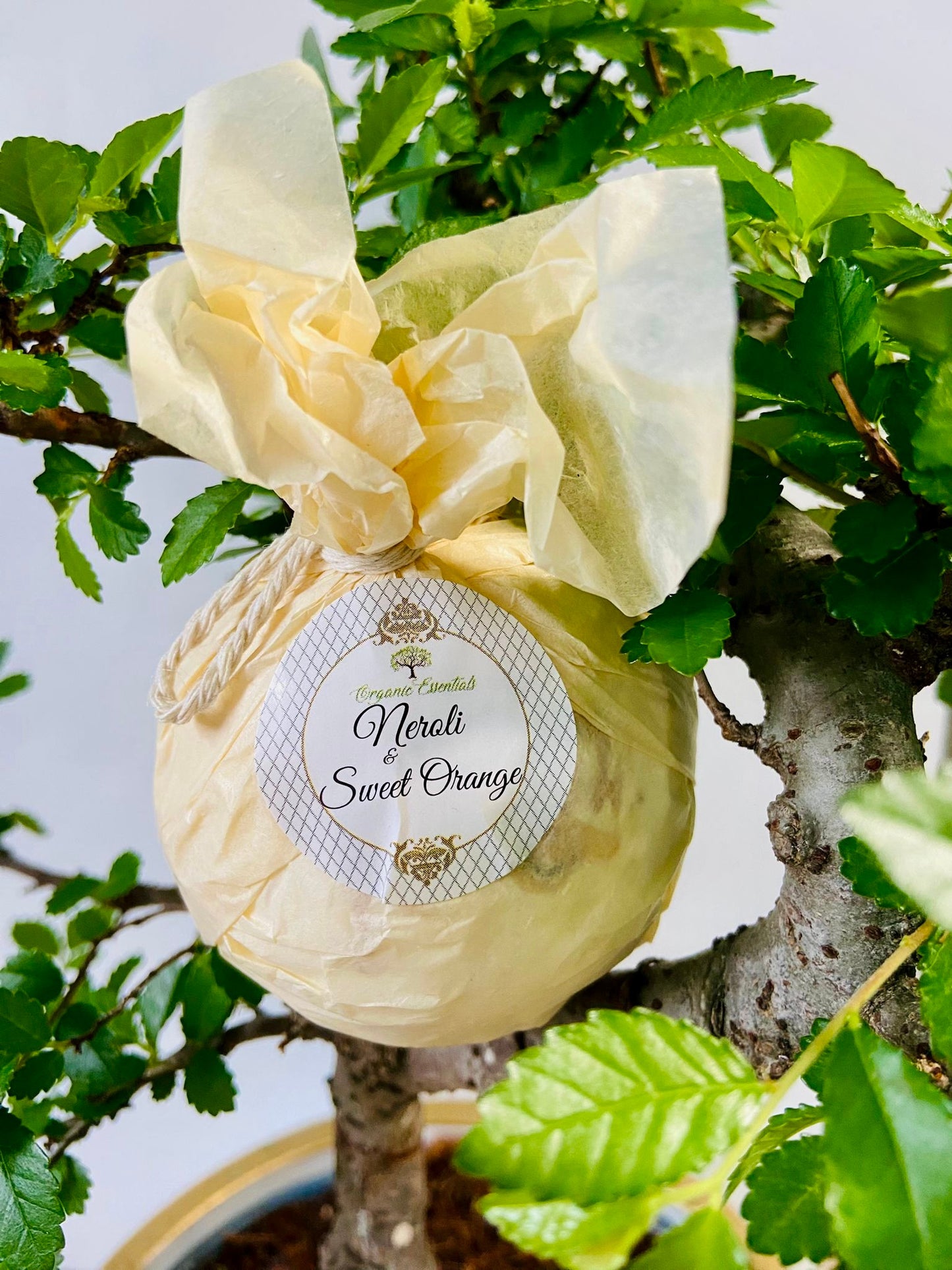 Therapeutic Bath Bomb -  Neroli & Sweet Orange Essential Oils-1