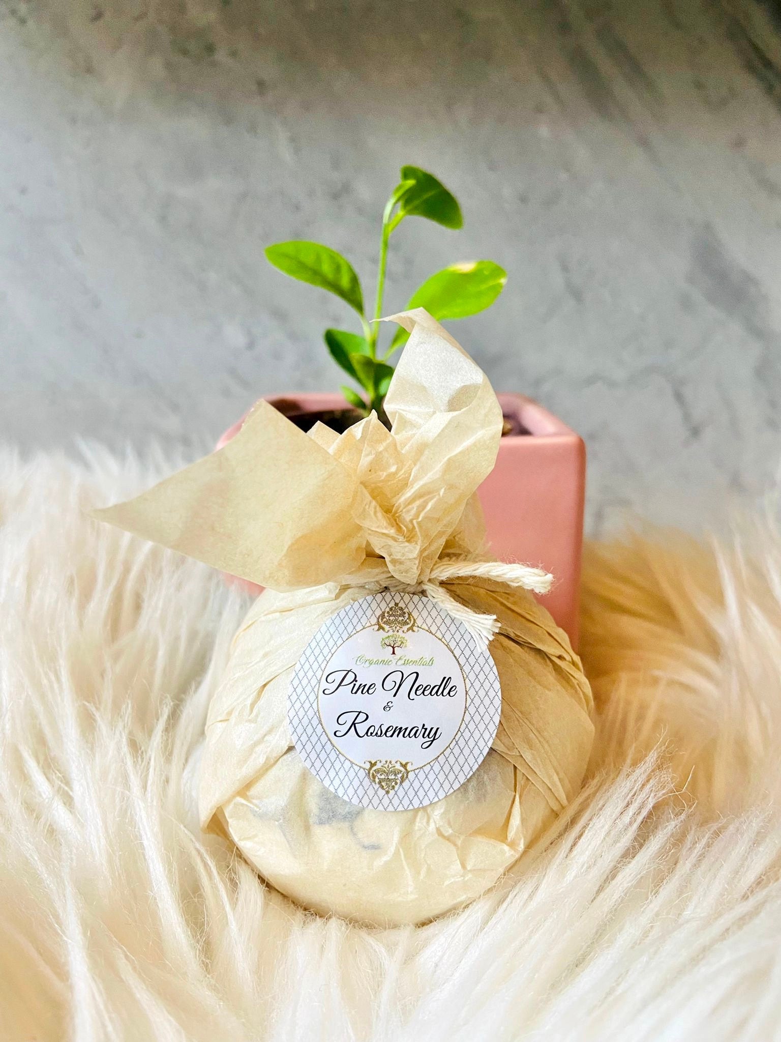 Therapeutic Bath Bomb - Pine Needle & Rosemary Essential Oils-1