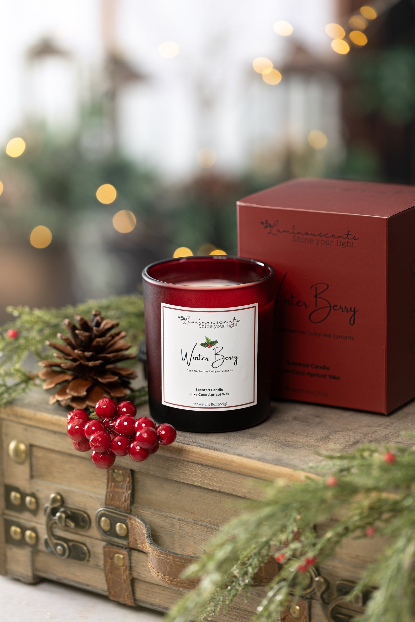 Winter Berry-0