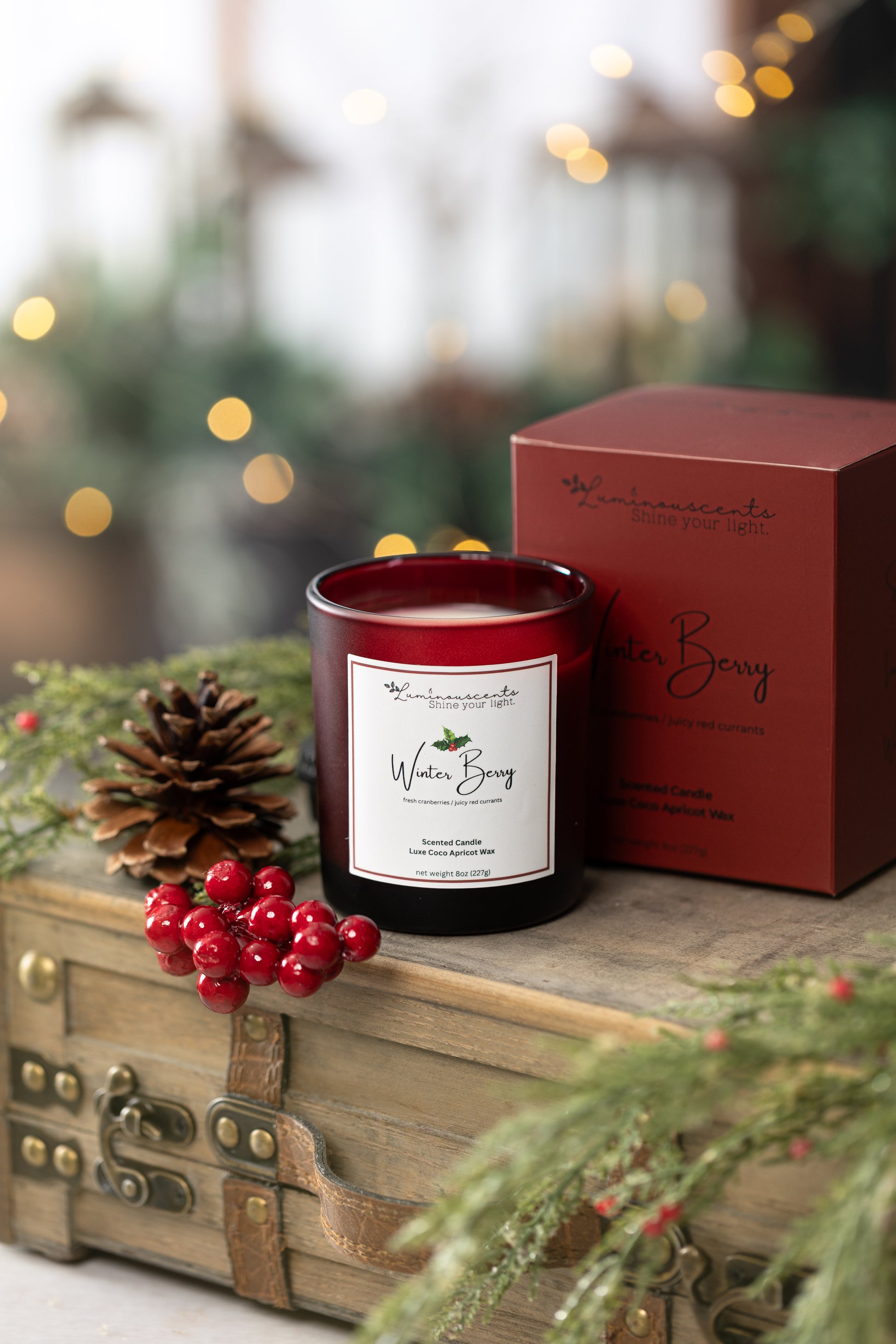 Winter Berry-0