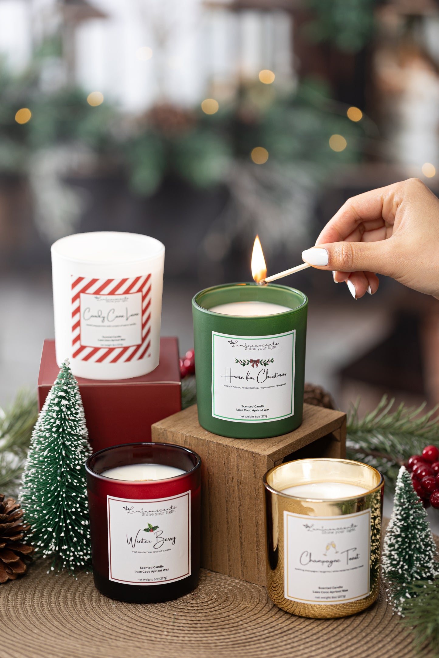 Candy Cane Lane-2