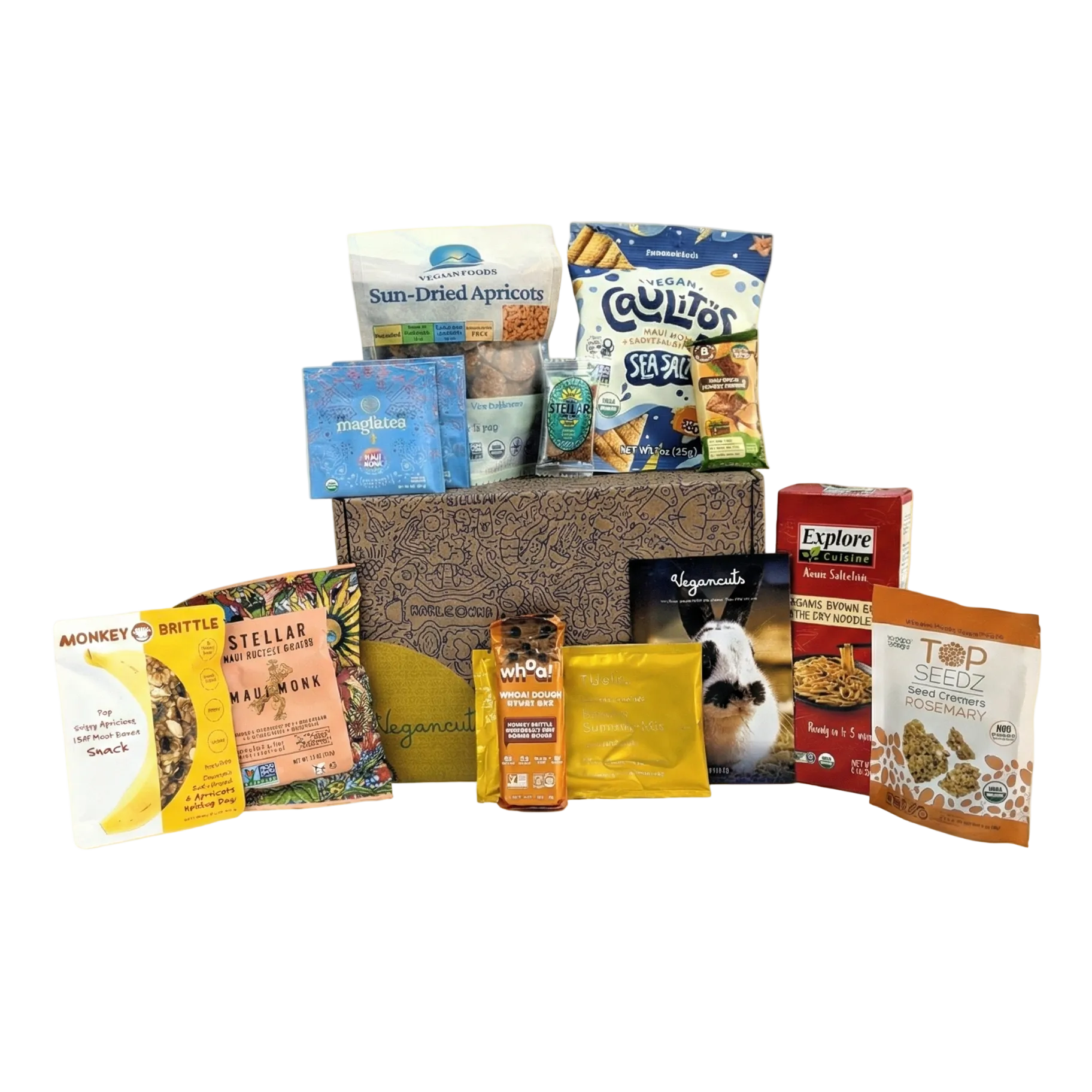 Assorted pet food packages on a beige background