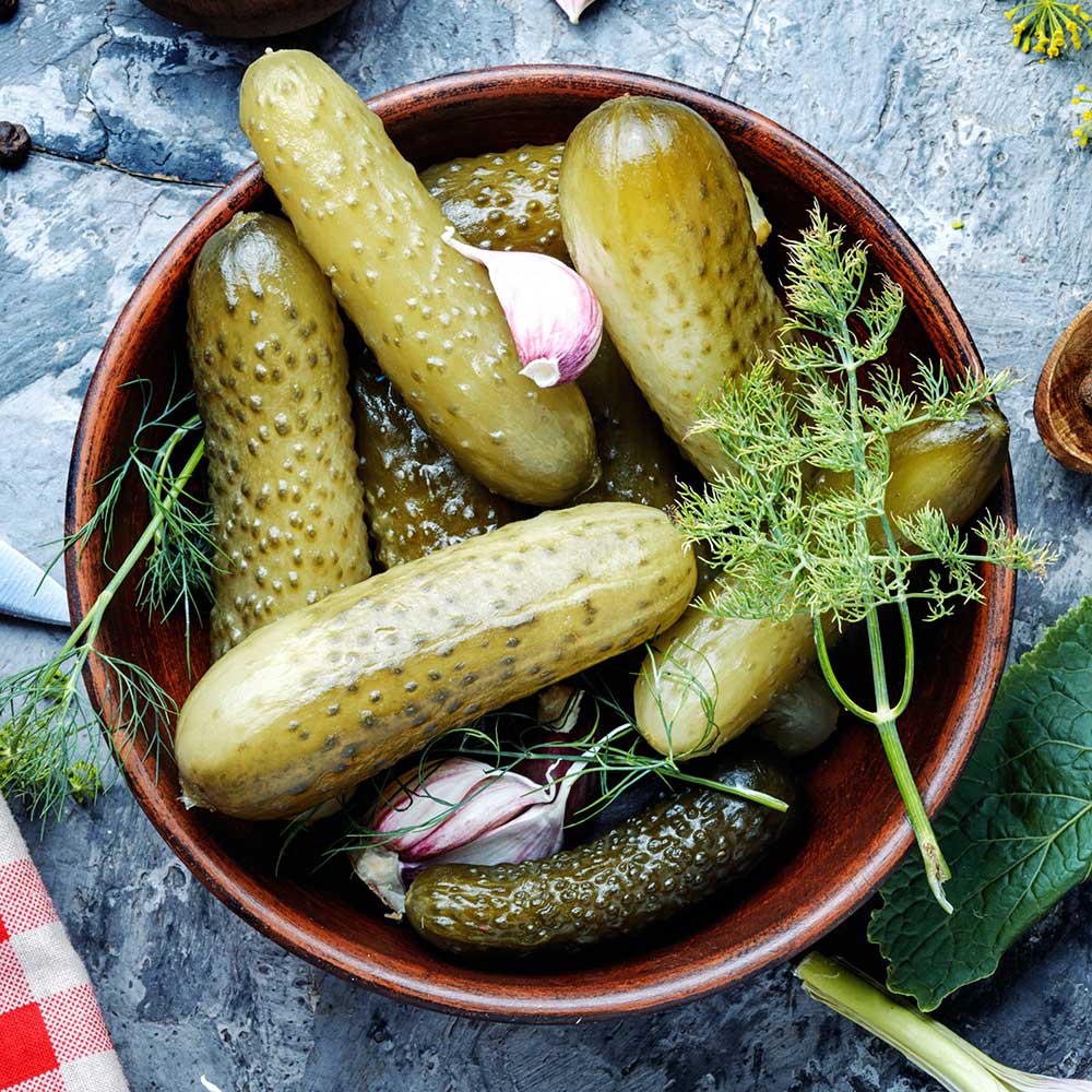 Fresh Dill Pickle Lip Balm-1