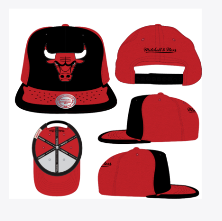 Chicago Bulls - NBA Day One Snapback Red- Black  Hat