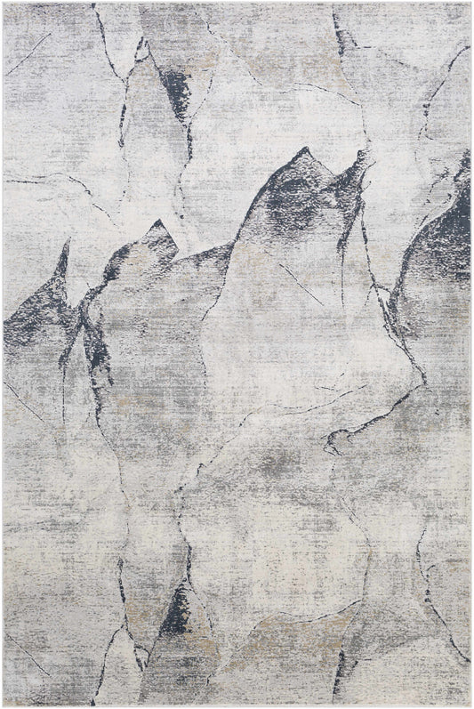 Gasquet Gray Marble Textured Luxe Rug-0