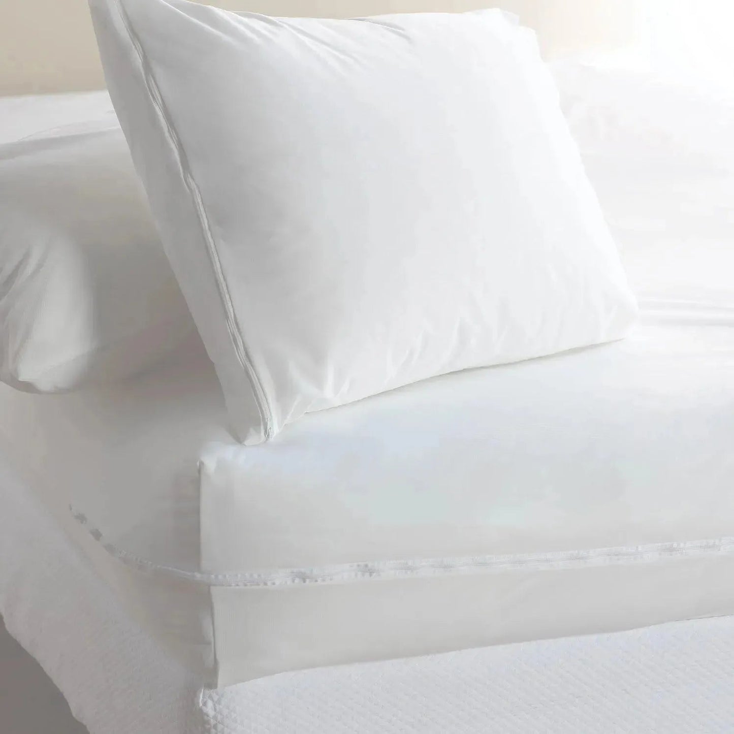 Pillow Covers & Protectors-2