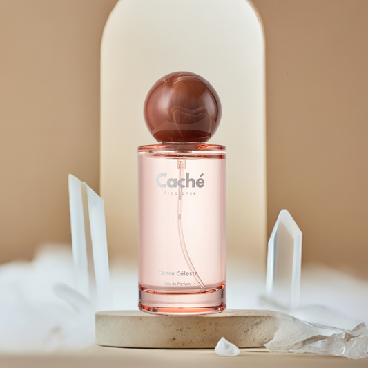 Caché - Cèdre Céleste