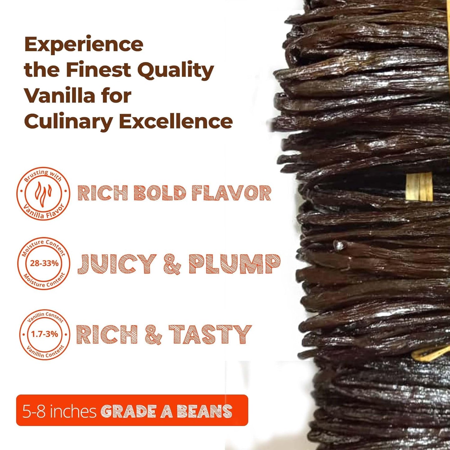 SPECIAL 12 lb. Bulk Gourmet Vanilla Beans – Premium Grade A Vanilla Bean Pods for Baking & Extract