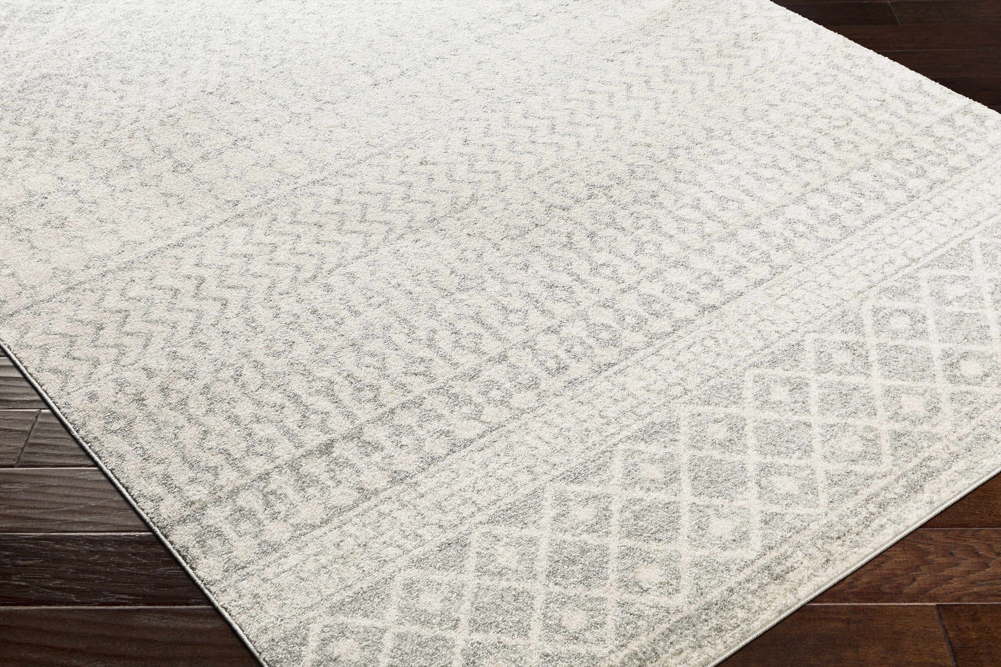 Constantin Gray Area Rug-4