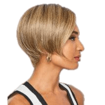 HEARD IT ALL - wig by Raquel Welch