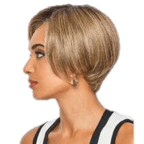 HEARD IT ALL - wig by Raquel Welch
