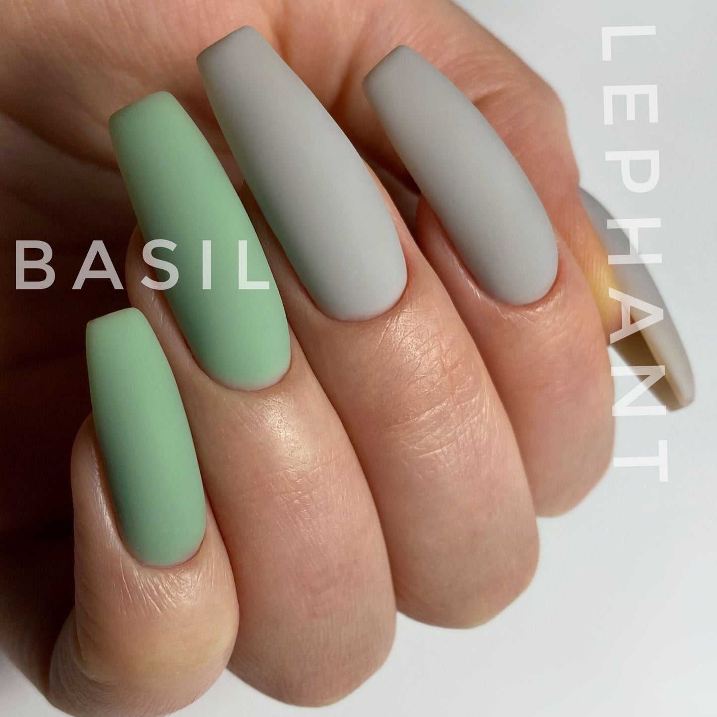 HEYLOVE - Tint Base Basil, 15ml-3