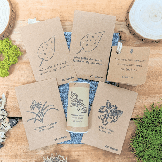 "Houseplant Newbie" Houseplant Seed Collection