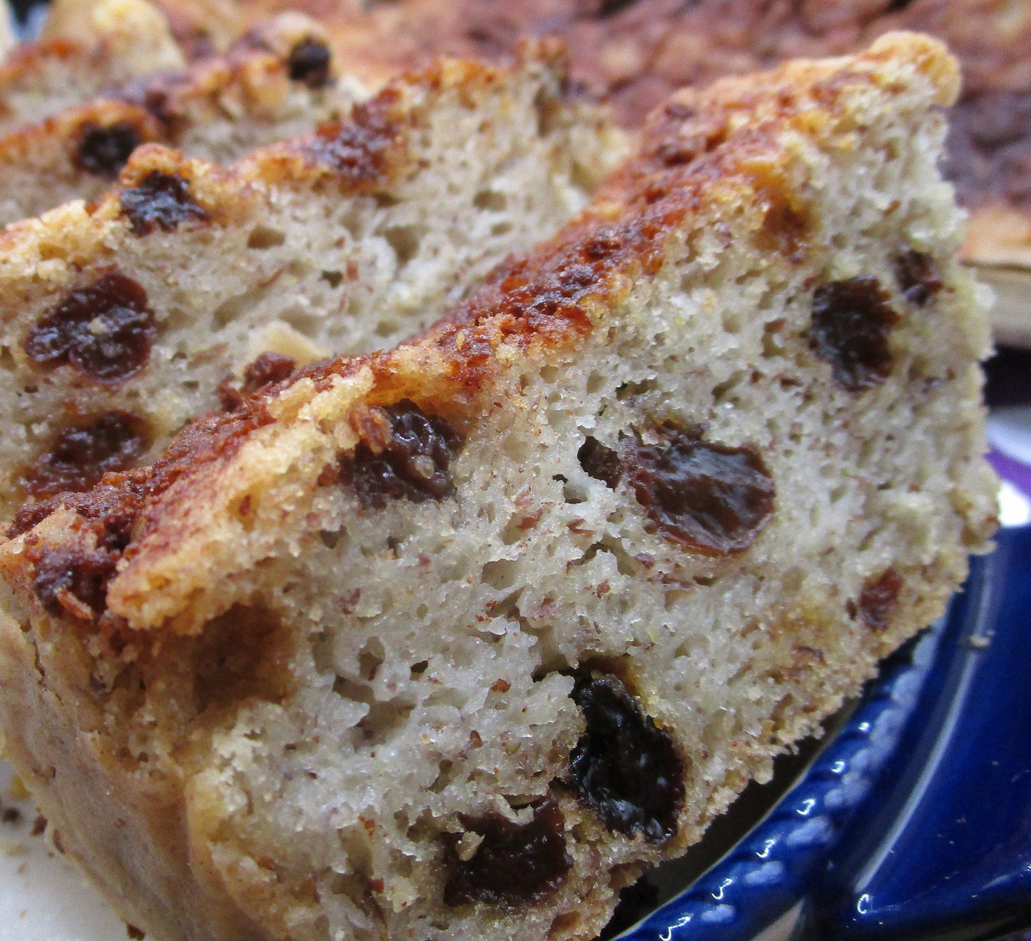 Gluten Free Protein Cinnamon Raisin Bread, Dairy Free, Nut Free, Vegan, Sugar Free Fitness Snack, Clean Eating Breakfast, Graduation Brunch