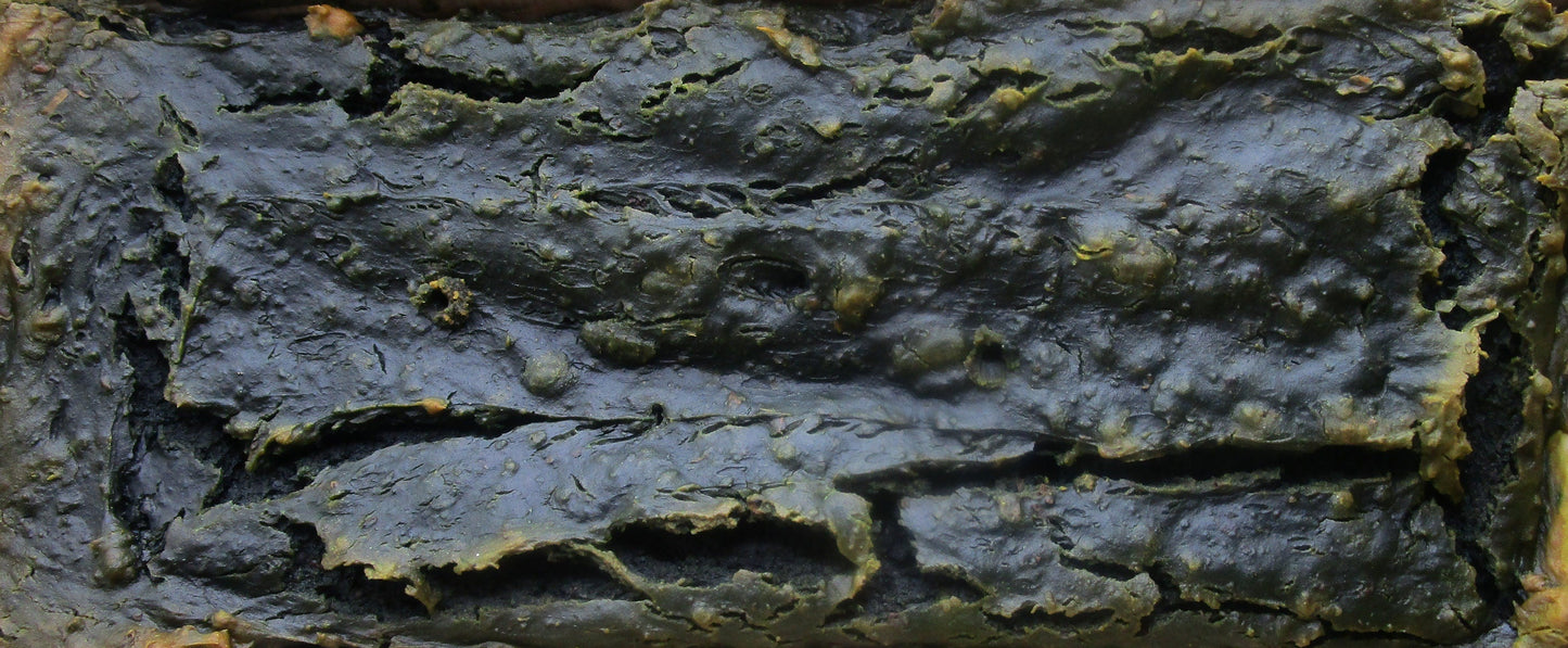 Custom Order, Bi-weekly Grain Free Bread, Organic Zucchini, Basil, Paleo, Gluten Free, Dairy Free, Sunflower, Pumpkin, Seed Protein