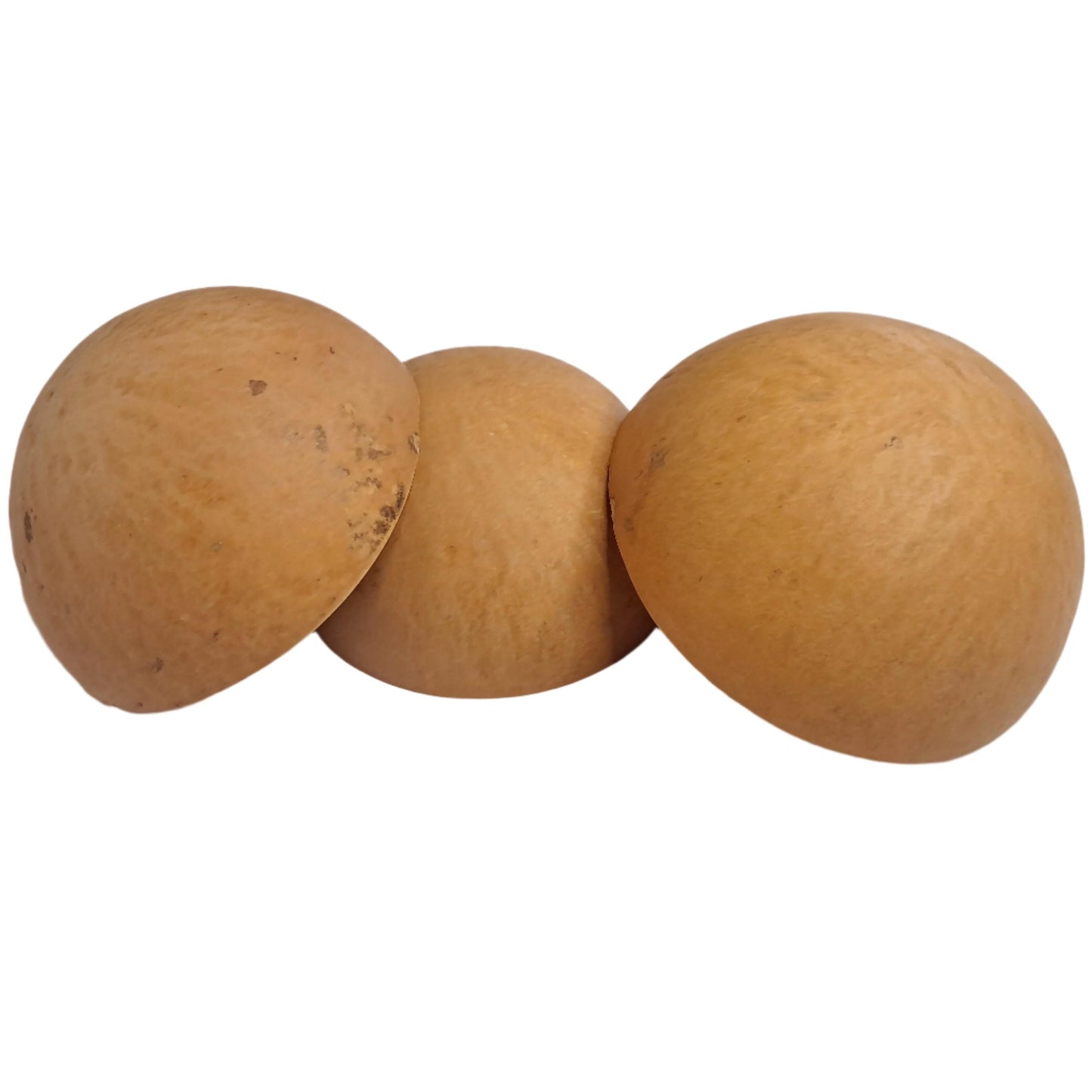 Calabash from Ghana - 20 pieces