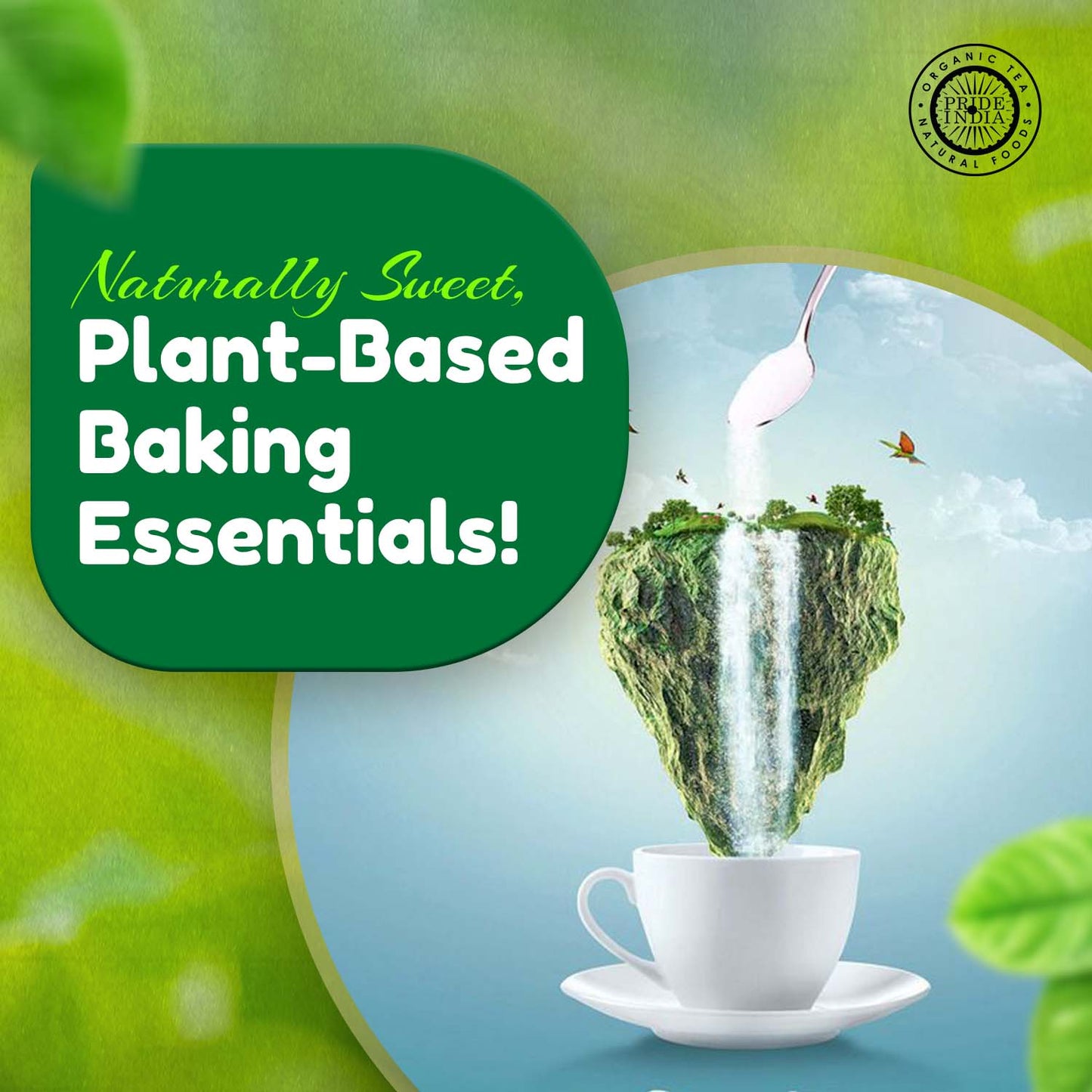 Plant-Based Sugar Substitutes-2