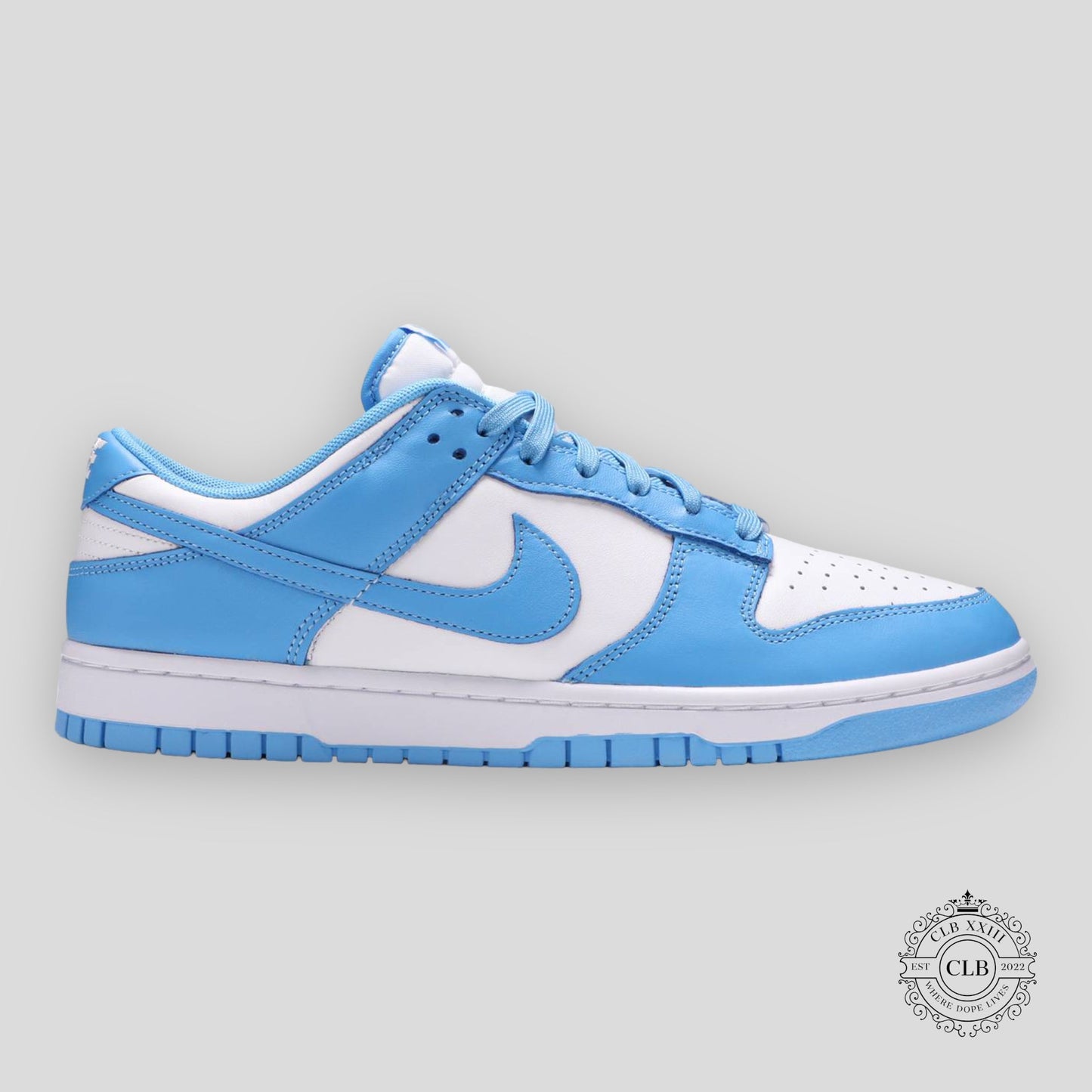 NIKE DUNK LOW "UNC"