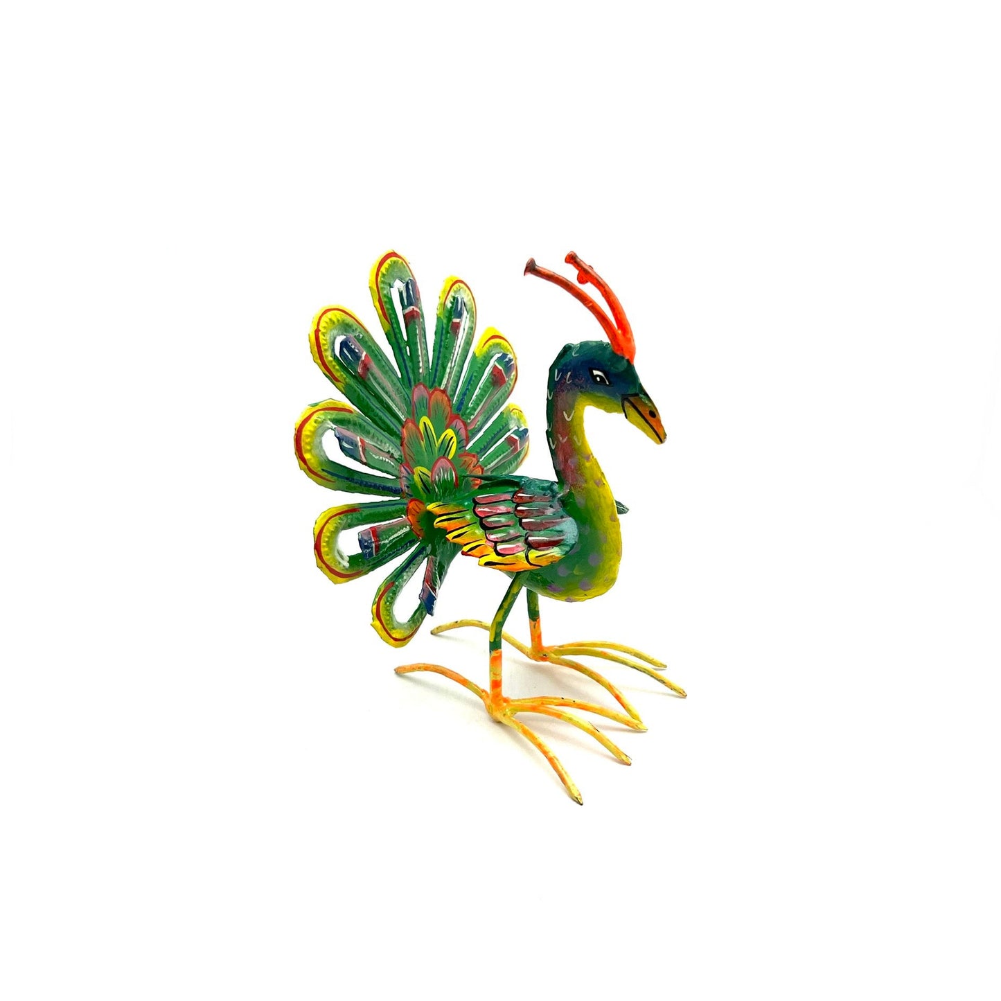 Standing Peacock