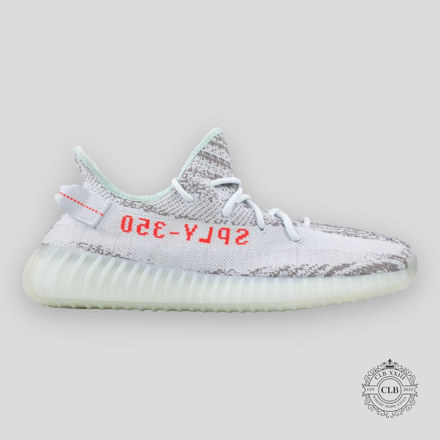 Adidas Yeezy Boost 350 V2 in Blue Tint