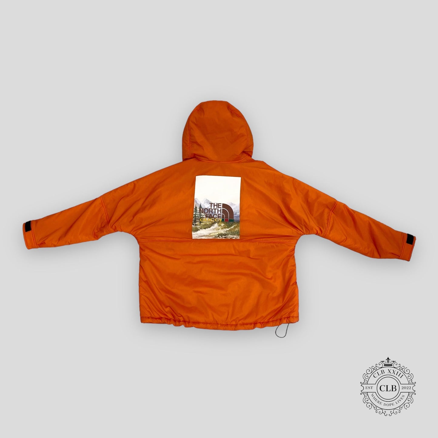 THE NORTH FACE X GUCCI PADDED RIPSTOP JACKET - ORANGE