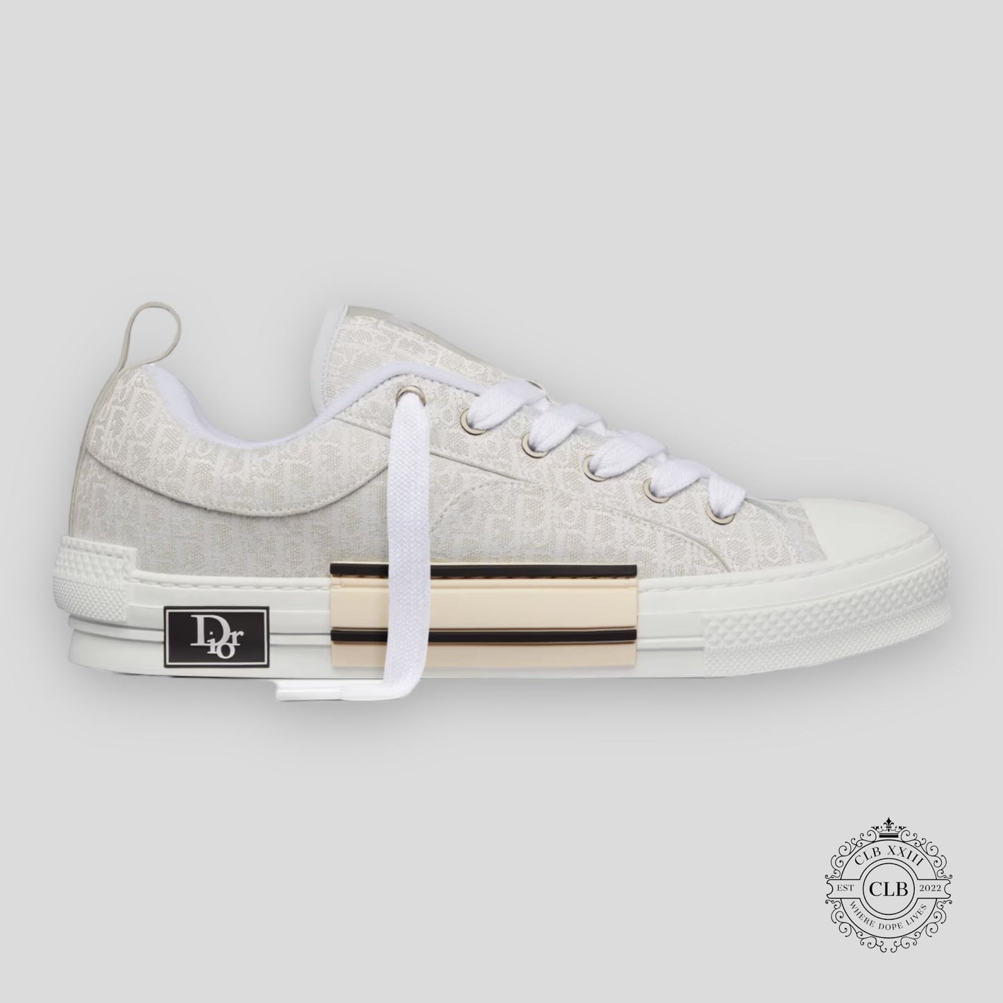 CHRISTIAN DIOR B23 SKATER SNEAKER “CREAM”