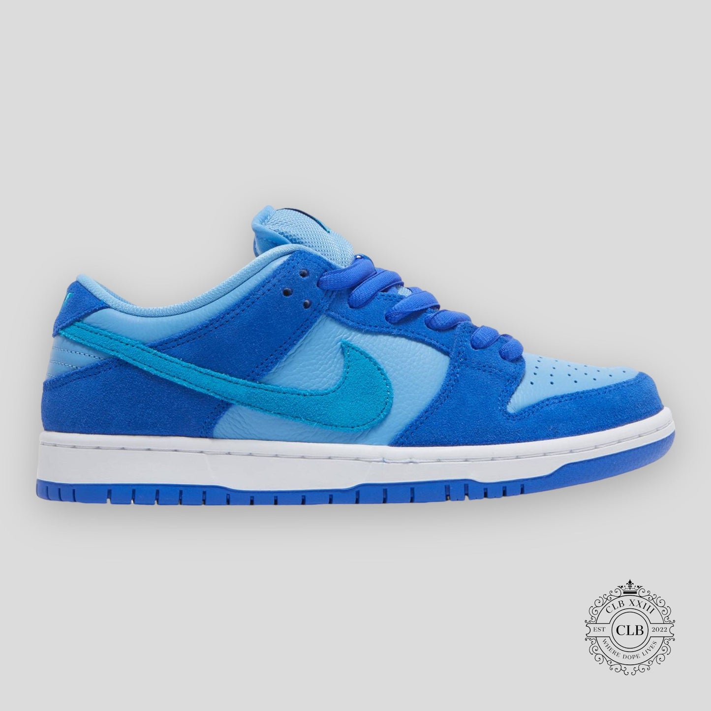 NIKE SB DUNK LOW "BLUE RASPBERRY"