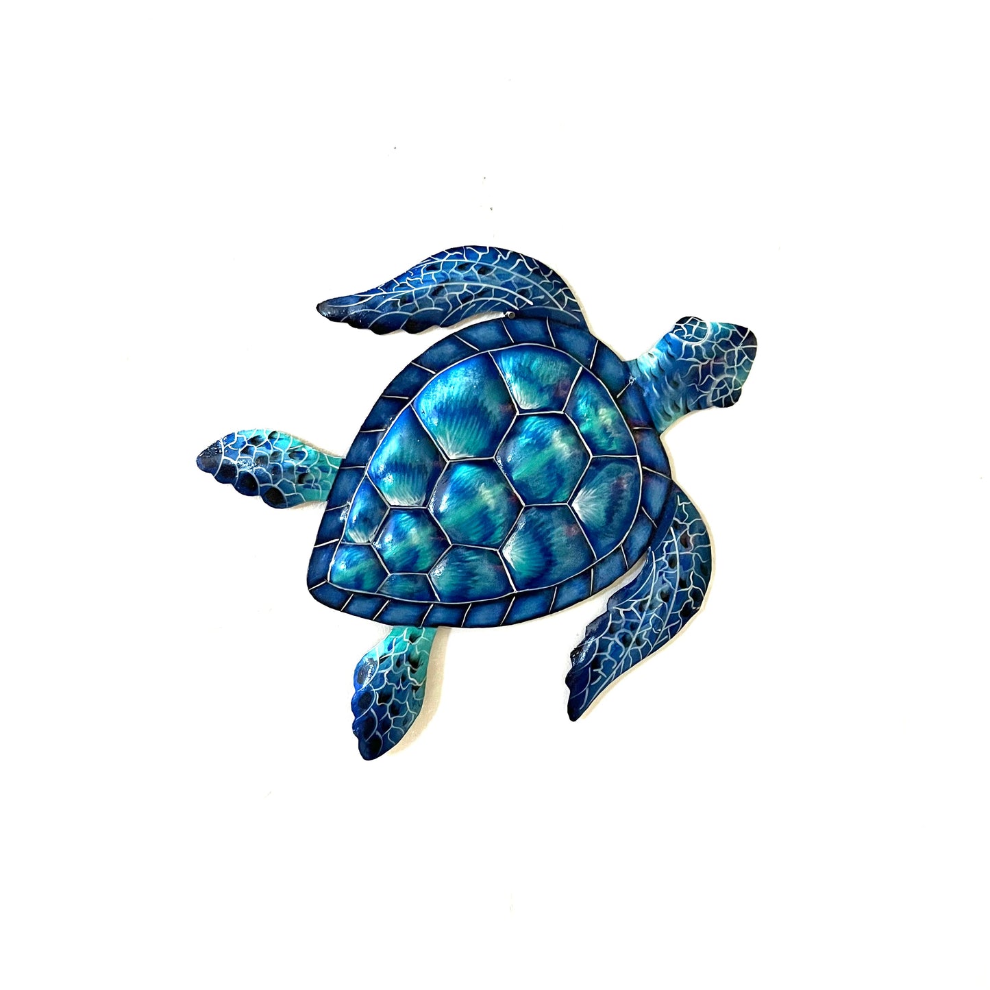 Medium Blue Sea Turtle
