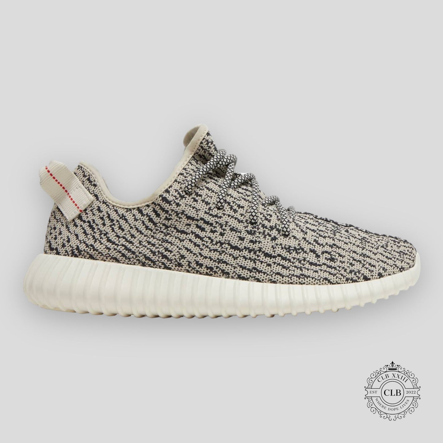 Adidas Yeezy Boost 350 in Turtle Dove 2022