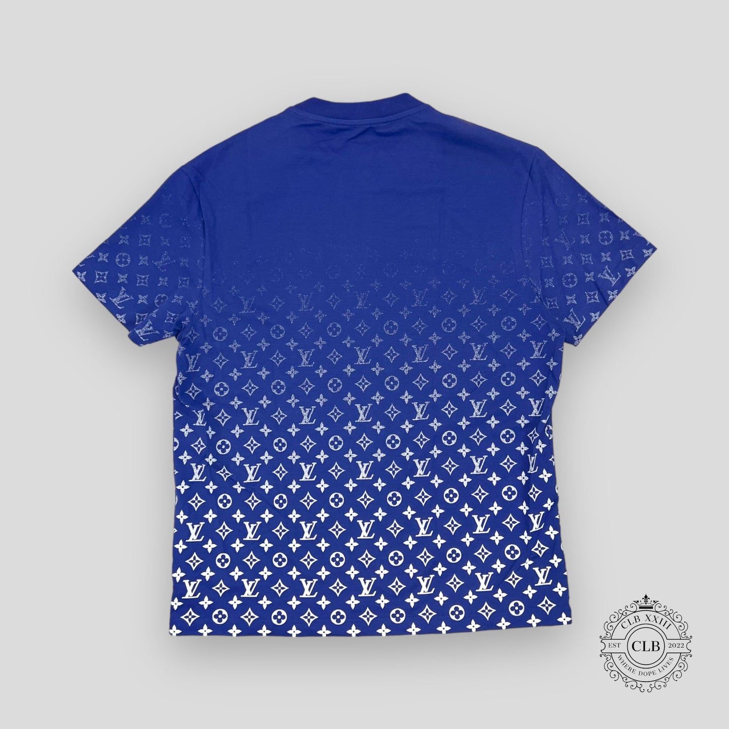 LOUIS VUITTON MONOGRAM DEGRADE T-SHIRT - BLUE/WHITE