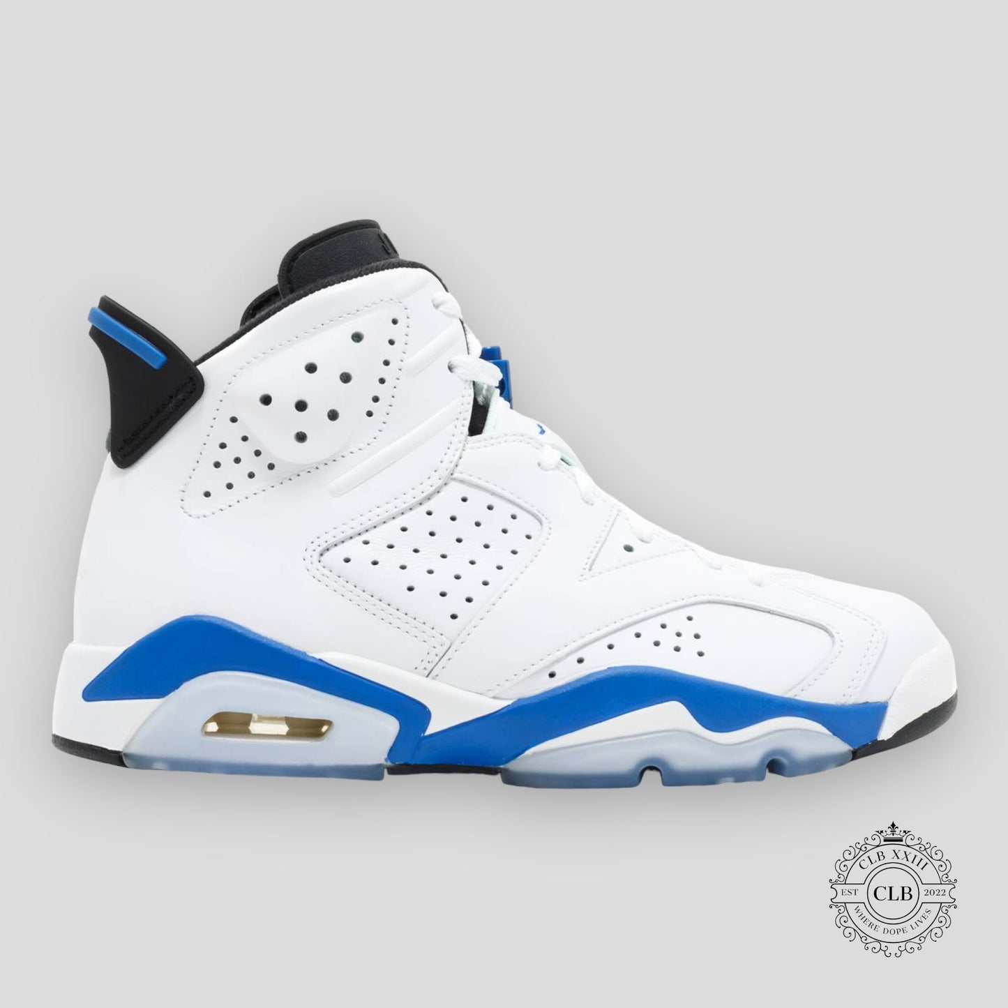 AIR JORDAN 6 RETRO "SPORT BLUE"