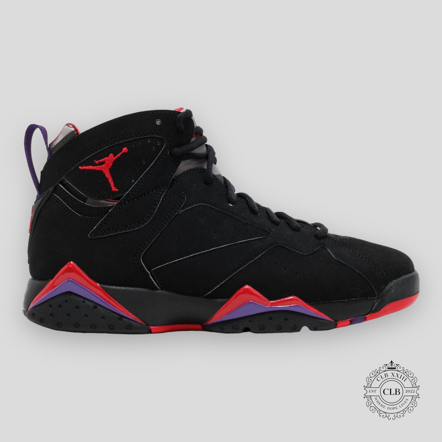 AIR JORDAN 7 RETRO "RAPTOR" 2012