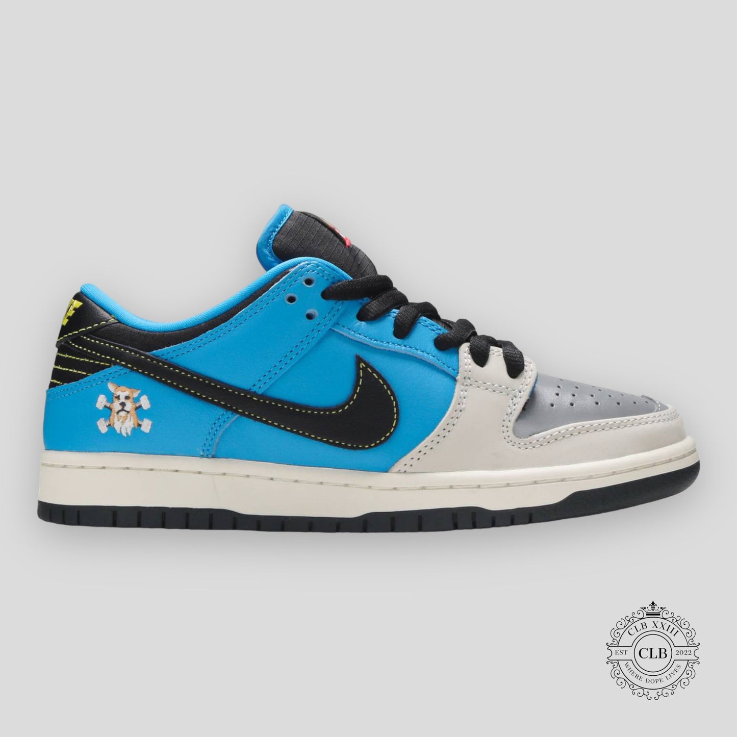 Nike SB Dunk Low Instant Skateboards
