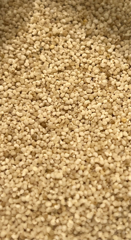 Ripkitty Premium Whole Raw Organic - White Poppy Seeds - Papaver Somniferum - Multicolor Ornamental-0