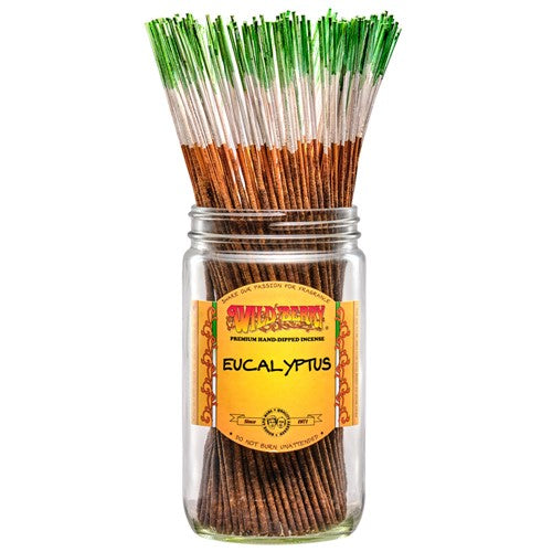 Eucalyptus Incense Sticks (pack of 30)